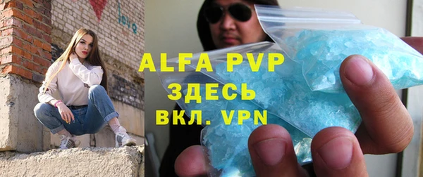 крисы Баксан